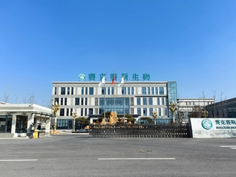 Shandong Saikesaisi Hydrogen Energy Co., Ltd linha de produção do fabricante