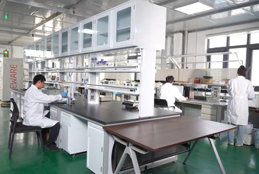 Shandong Saikesaisi Hydrogen Energy Co., Ltd linha de produção do fabricante